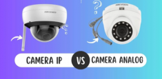 So sánh camera IP và analog - Gợi ý sử dụng loại phù hợp
